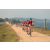 Team 74 / Raid Amazones Sri Lanka 2022 - J5 VTT