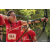 Team 62 / Raid Amazones Sri Lanka 2022 - J5 VTT