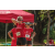 Team 65 / Raid Amazones Sri Lanka 2022 - J5 VTT