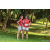 Team 56 / Raid Amazones Sri Lanka 2022 - J5 VTT