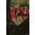 Team 65 / Raid Amazones Sri Lanka 2022 - J5 VTT