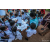 Raid Amazones Sri Lanka 2022 - Ambiance