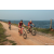 Team 310 / Raid Amazones Sri Lanka 2022 - J5 VTT