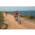 Team 312 / Raid Amazones Sri Lanka 2022 - J5 VTT