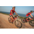 Team 38 / Raid Amazones Sri Lanka 2022 - J5 VTT