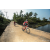 Team 18 / Raid Amazones Sri Lanka 2022 - J5 VTT