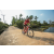 Team 77 / Raid Amazones Sri Lanka 2022 - J5 VTT