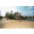 Team 335 / Raid Amazones Sri Lanka 2022 - J5 VTT
