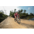 Team 310 / Raid Amazones Sri Lanka 2022 - J5 VTT