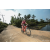Team 06 / Raid Amazones Sri Lanka 2022 - J5 VTT