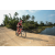 Team 71 / Raid Amazones Sri Lanka 2022 - J5 VTT