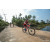 Team 312 / Raid Amazones Sri Lanka 2022 - J5 VTT