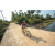 Team 339 / Raid Amazones Sri Lanka 2022 - J5 VTT
