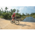 Team 307 / Raid Amazones Sri Lanka 2022 - J5 VTT