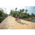 Team 322 / Raid Amazones Sri Lanka 2022 - J5 VTT