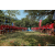 Raid Amazones Sri Lanka 2022 - Ambiance