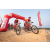 Team 335 / Raid Amazones Sri Lanka 2022 - J5 VTT