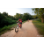 Team 26 / Raid Amazones Sri Lanka 2022 - J5 VTT