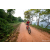Team 57 / Raid Amazones Sri Lanka 2022 - J5 VTT