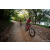 Team 20 / Raid Amazones Sri Lanka 2022 - J5 VTT