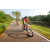 Team 57 / Raid Amazones Sri Lanka 2022 - J5 VTT