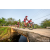 Team 71 / Raid Amazones Sri Lanka 2022 - J5 VTT