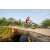 Team 313 / Raid Amazones Sri Lanka 2022 - J5 VTT