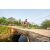 Team 81 / Raid Amazones Sri Lanka 2022 - J5 VTT