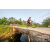 Team 42 / Raid Amazones Sri Lanka 2022 - J5 VTT