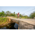 Team 85 / Raid Amazones Sri Lanka 2022 - J5 VTT