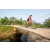 Team 85 / Raid Amazones Sri Lanka 2022 - J5 VTT
