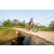 Team 89 / Raid Amazones Sri Lanka 2022 - J5 VTT