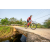Team 89 / Raid Amazones Sri Lanka 2022 - J5 VTT