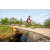 Team 39 / Raid Amazones Sri Lanka 2022 - J5 VTT
