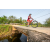 Team 17 / Raid Amazones Sri Lanka 2022 - J5 VTT