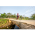 Team 86 / Raid Amazones Sri Lanka 2022 - J5 VTT