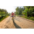 Team 320 / Raid Amazones Sri Lanka 2022 - J5 VTT