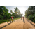 Team 320 / Raid Amazones Sri Lanka 2022 - J5 VTT