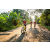 Team 320 / Raid Amazones Sri Lanka 2022 - J5 VTT