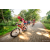 Team 19 / Raid Amazones Sri Lanka 2022 - J5 VTT
