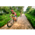 Team 19 / Raid Amazones Sri Lanka 2022 - J5 VTT
