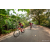 Team 04 / Raid Amazones Sri Lanka 2022 - J5 VTT