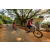 Team 303 / Raid Amazones Sri Lanka 2022 - J5 VTT