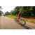 Team 310 / Raid Amazones Sri Lanka 2022 - J5 VTT