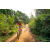 Team 67 / Raid Amazones Sri Lanka 2022 - J5 VTT