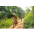 Team 31 / Raid Amazones Sri Lanka 2022 - J5 VTT
