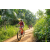 Team 06 / Raid Amazones Sri Lanka 2022 - J5 VTT
