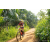 Team 45 / Raid Amazones Sri Lanka 2022 - J5 VTT
