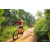 Team 53 / Raid Amazones Sri Lanka 2022 - J5 VTT