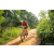 Team 53 / Raid Amazones Sri Lanka 2022 - J5 VTT